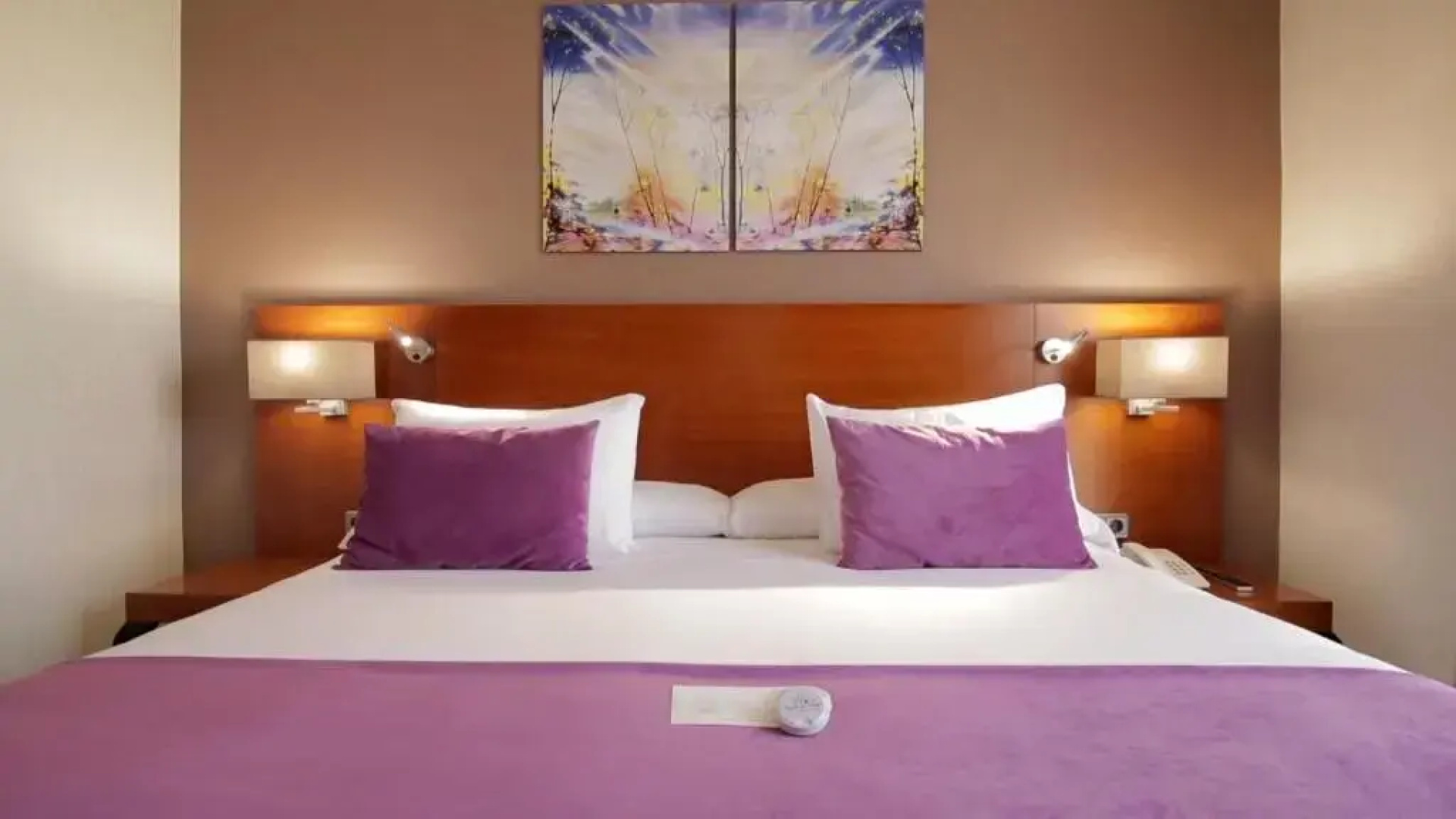 Hotel Puerta de Toledo