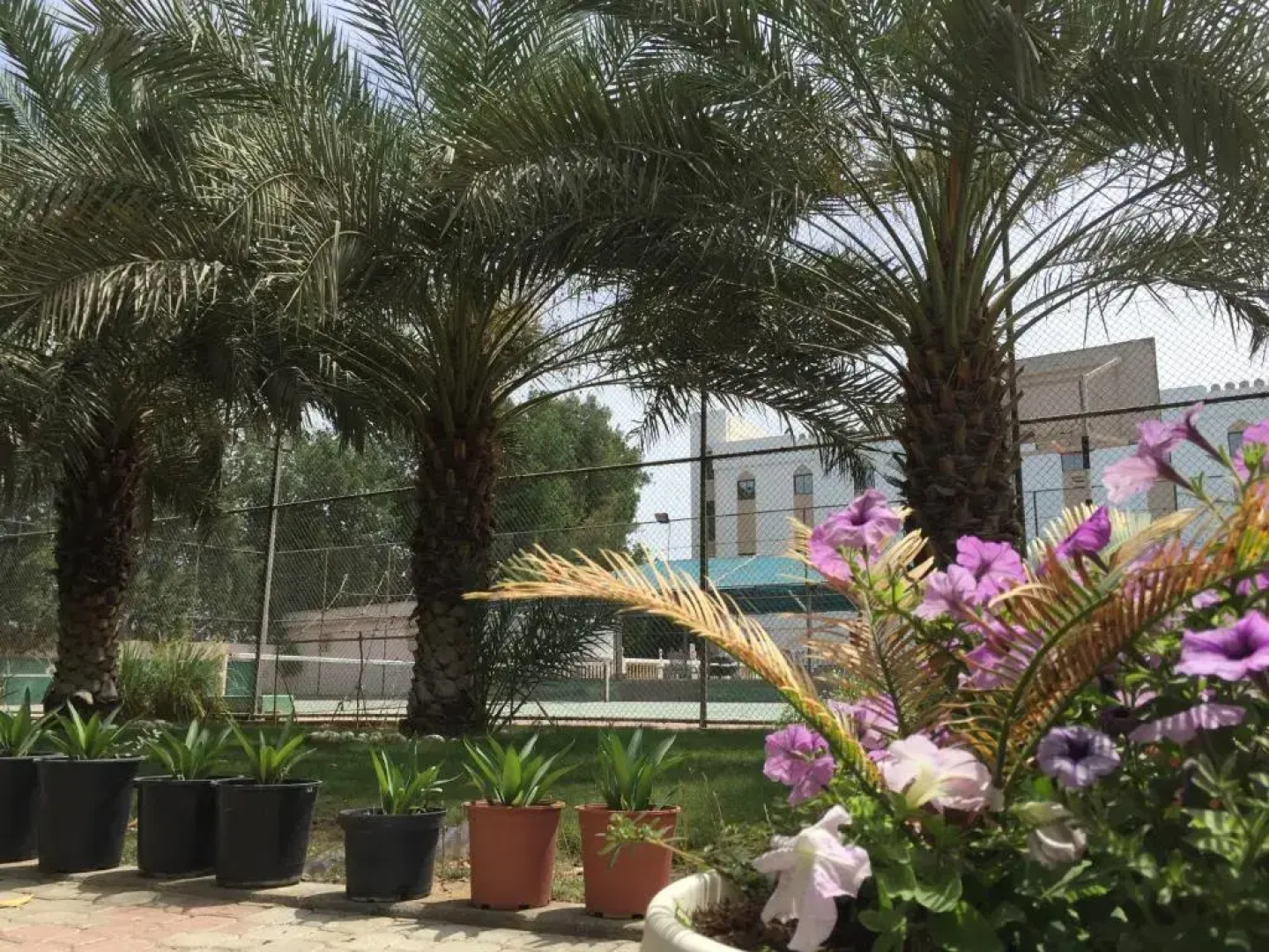 Hotel Al Madinah Holiday