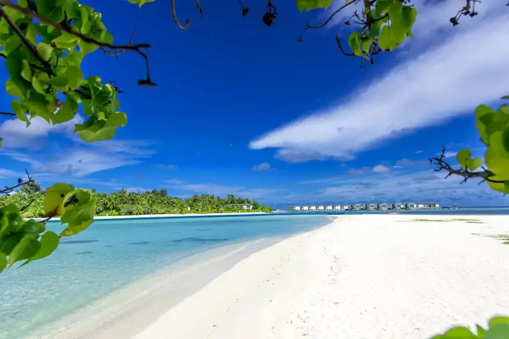 Ithaa Beach Maldives 