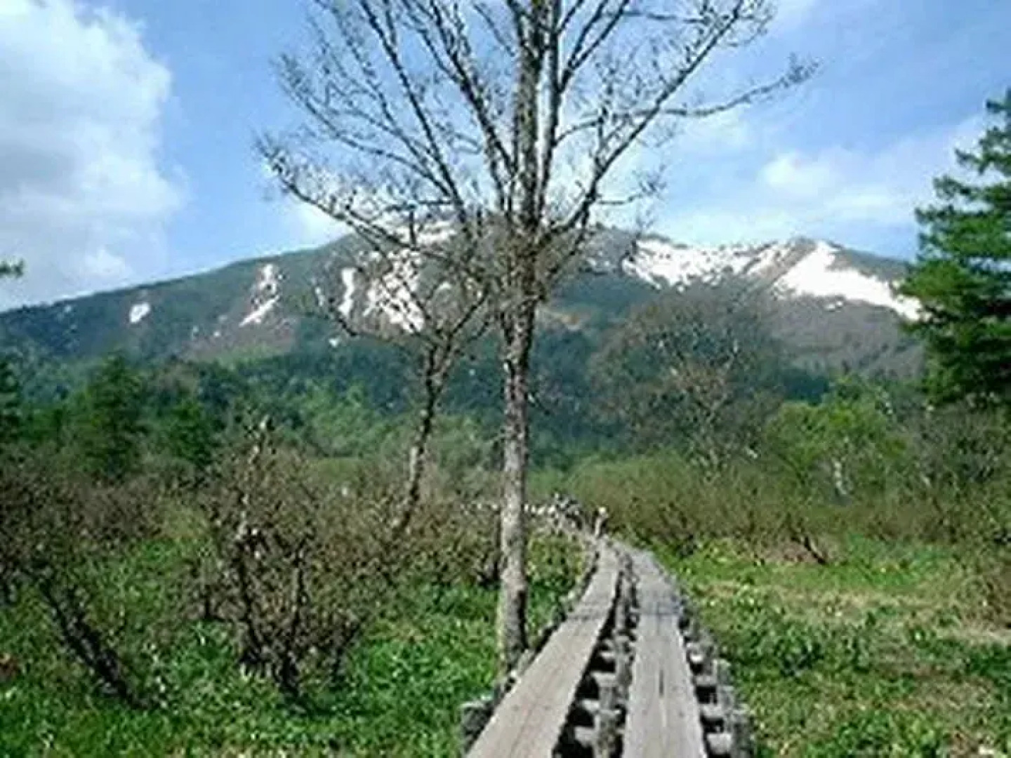 Hotel Tamakiya' Oze-Tokura Hot Spring