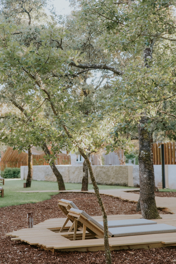 Luz Houses