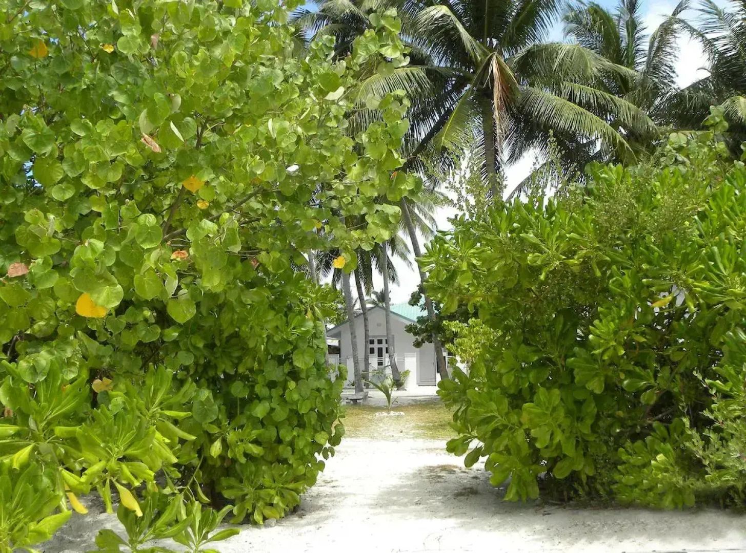 Гостевой дом Vaali Maldives Island Escapes & Dive