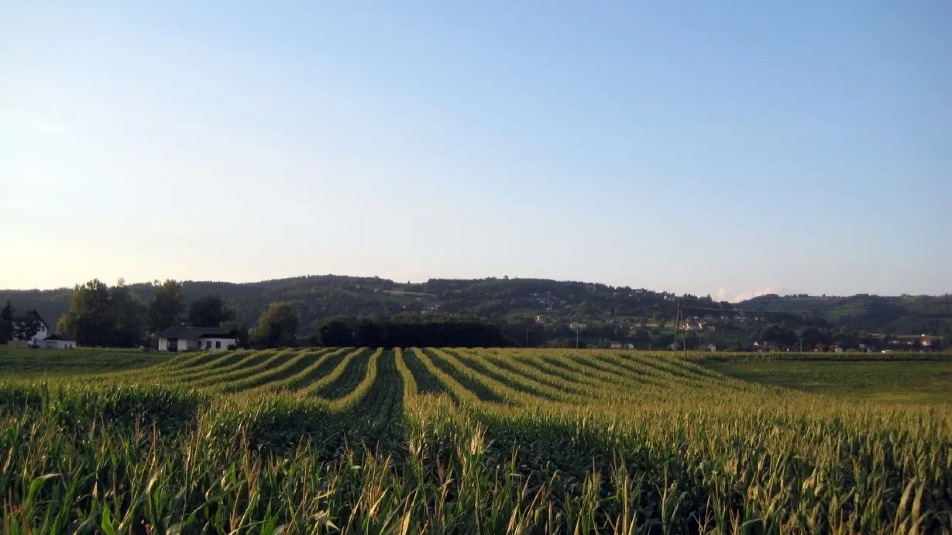 Familie Regina & Josef Allerstorfer