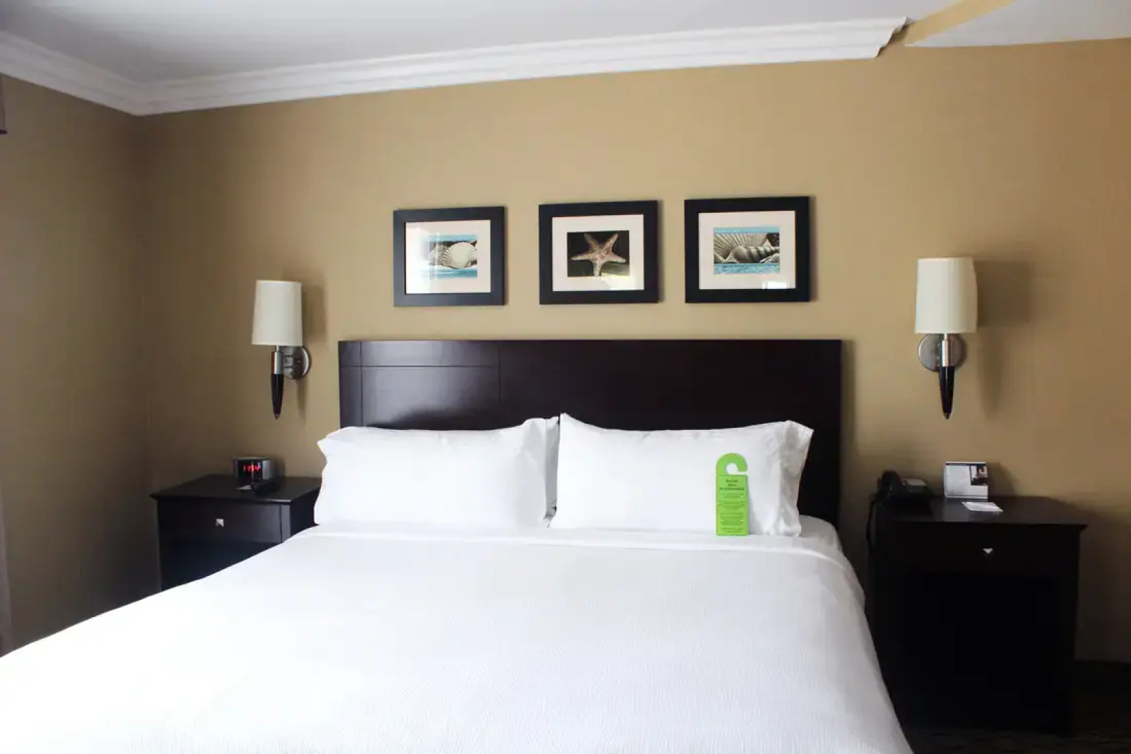 The Volare, an Ascend Collection Hotel