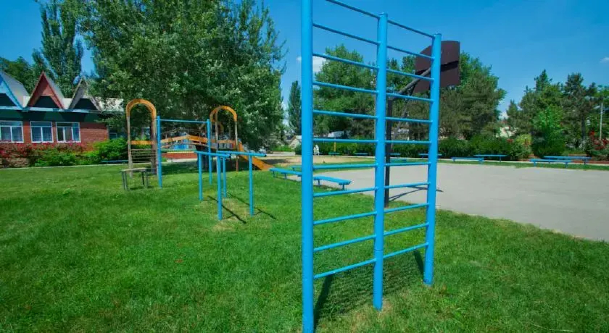 Ателика Дельфин