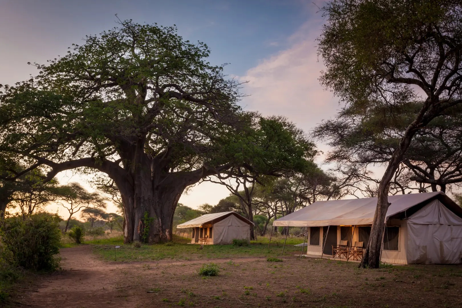 Baobab Tented Camp