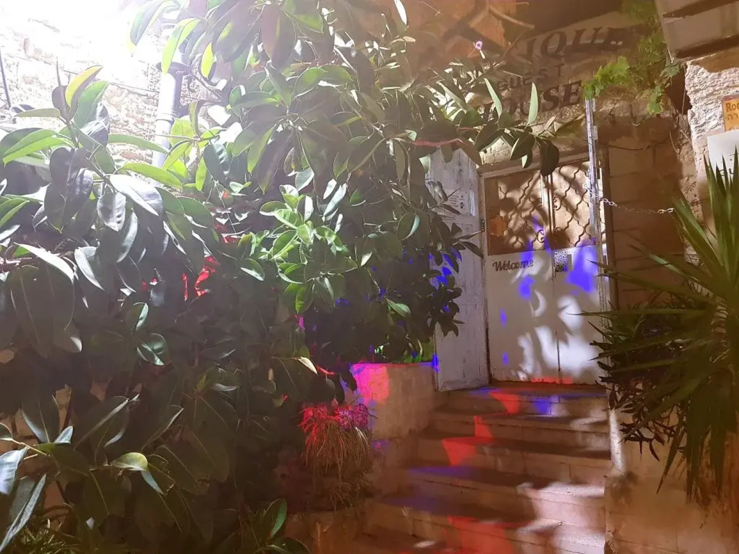 Antique guest house