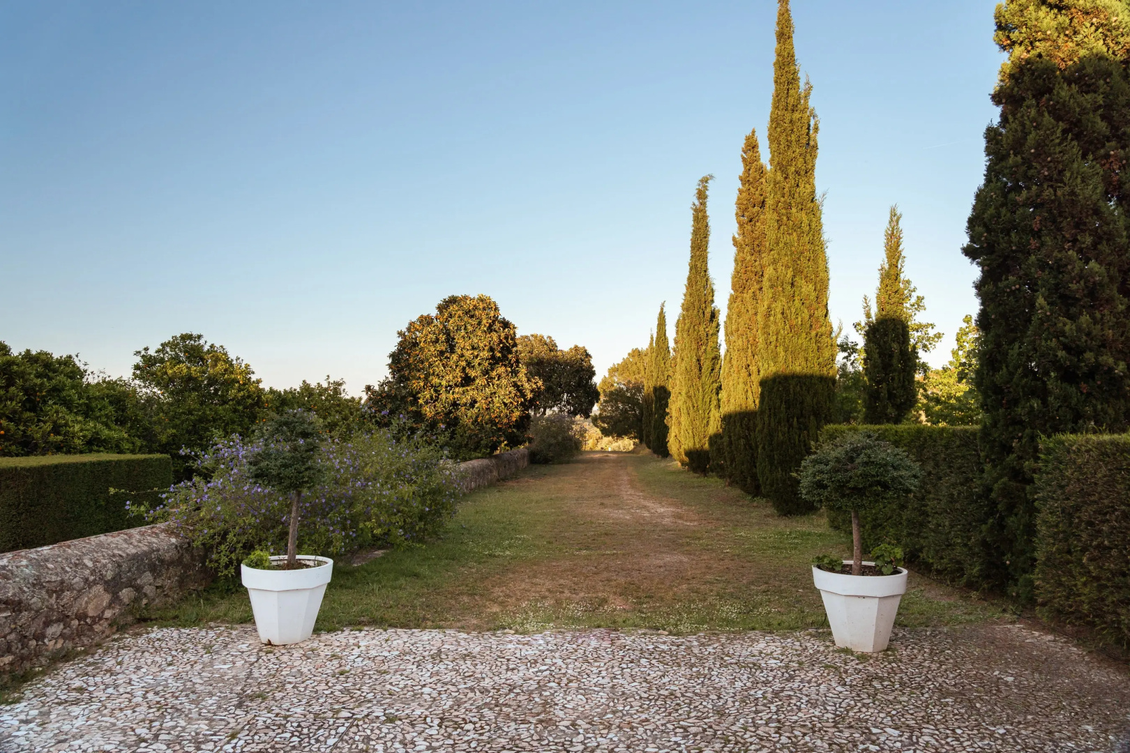 Imani Country House