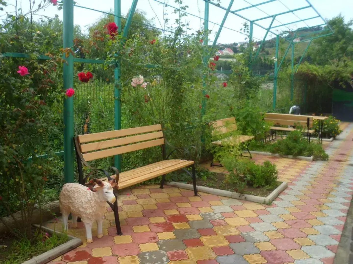 Кукуруза