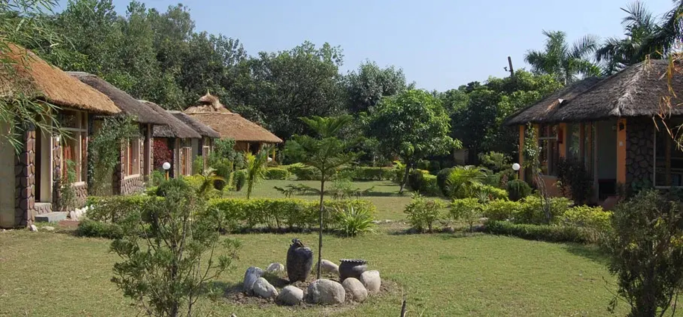 Jungle Paradise Hotel
