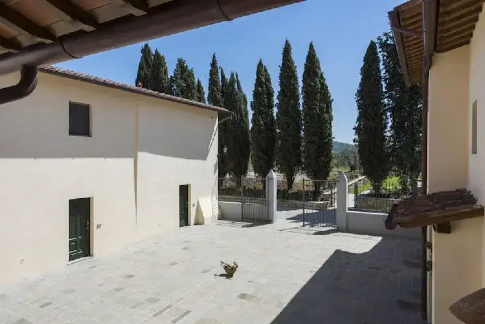Olmofiorito