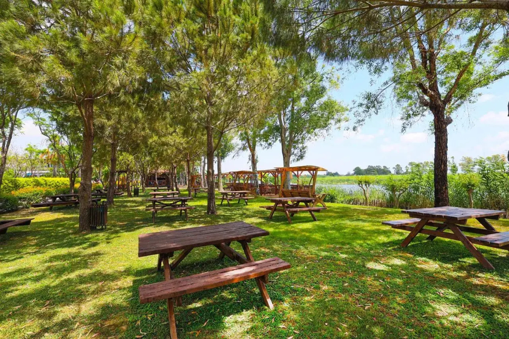 Crystal Paraiso Aqua Collection