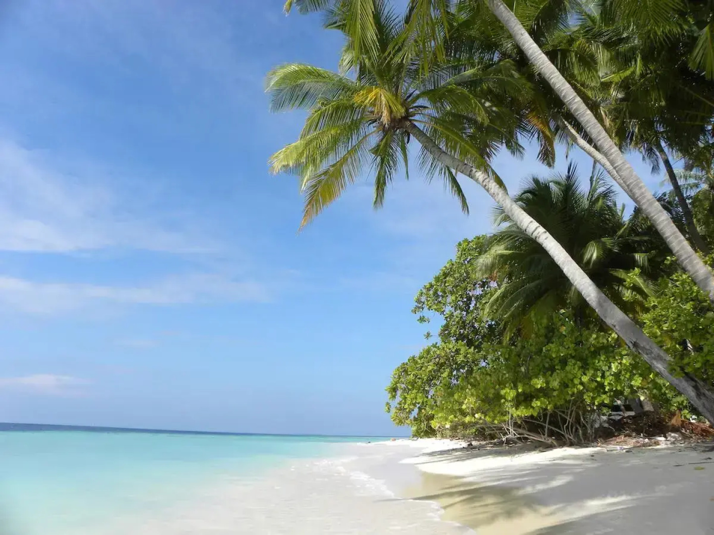 Гостевой дом Vaali Maldives Island Escapes & Dive