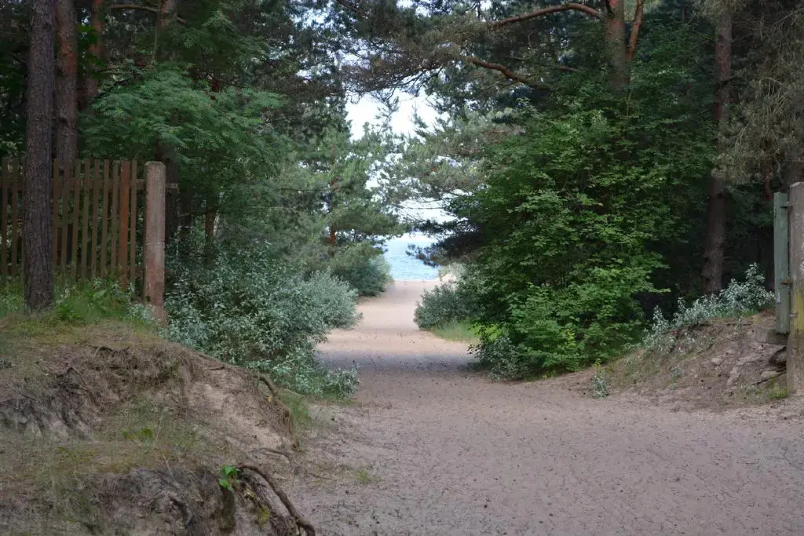 Camping Juras Priedes