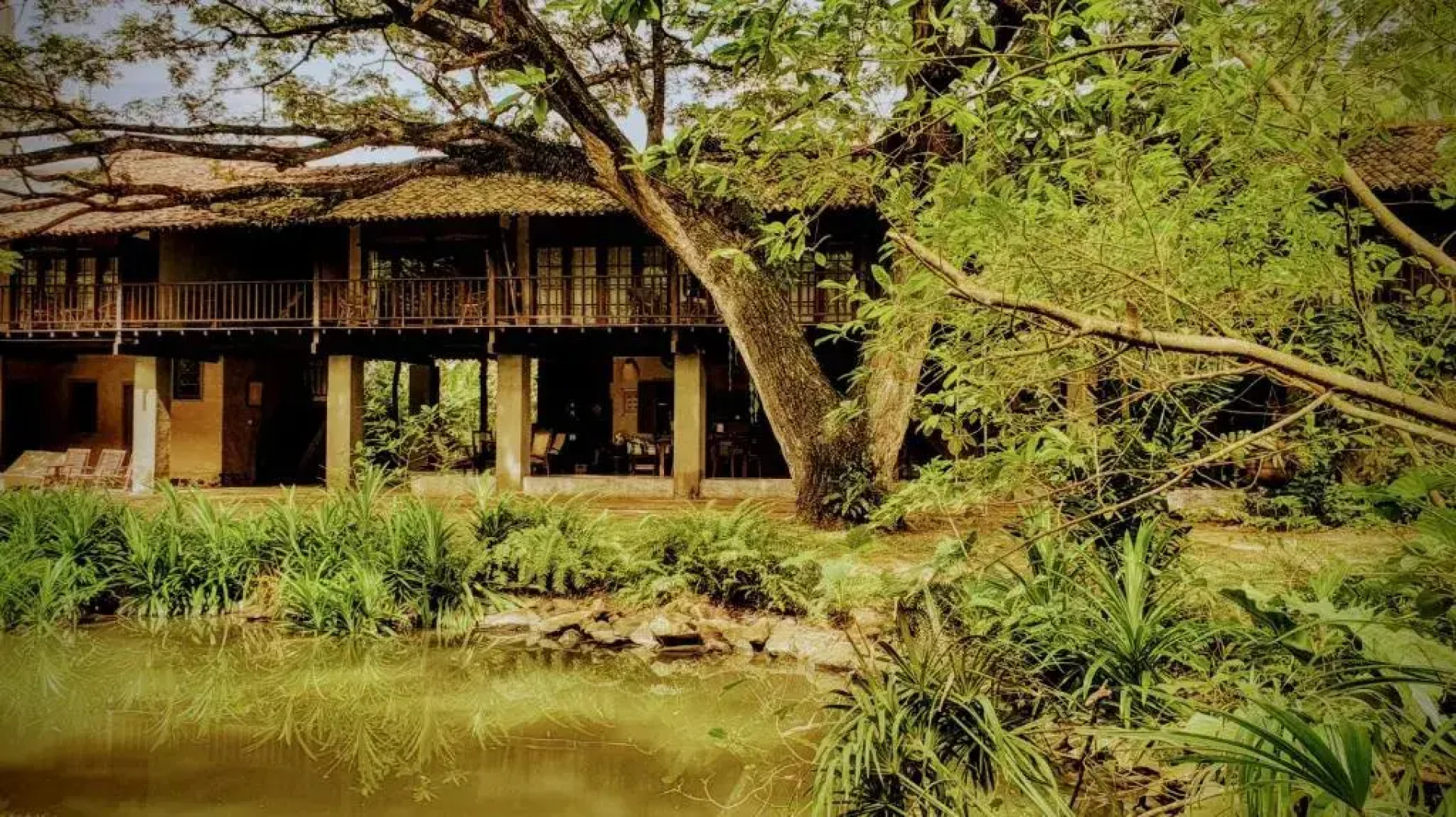 Dunes Unawatuna Hotel