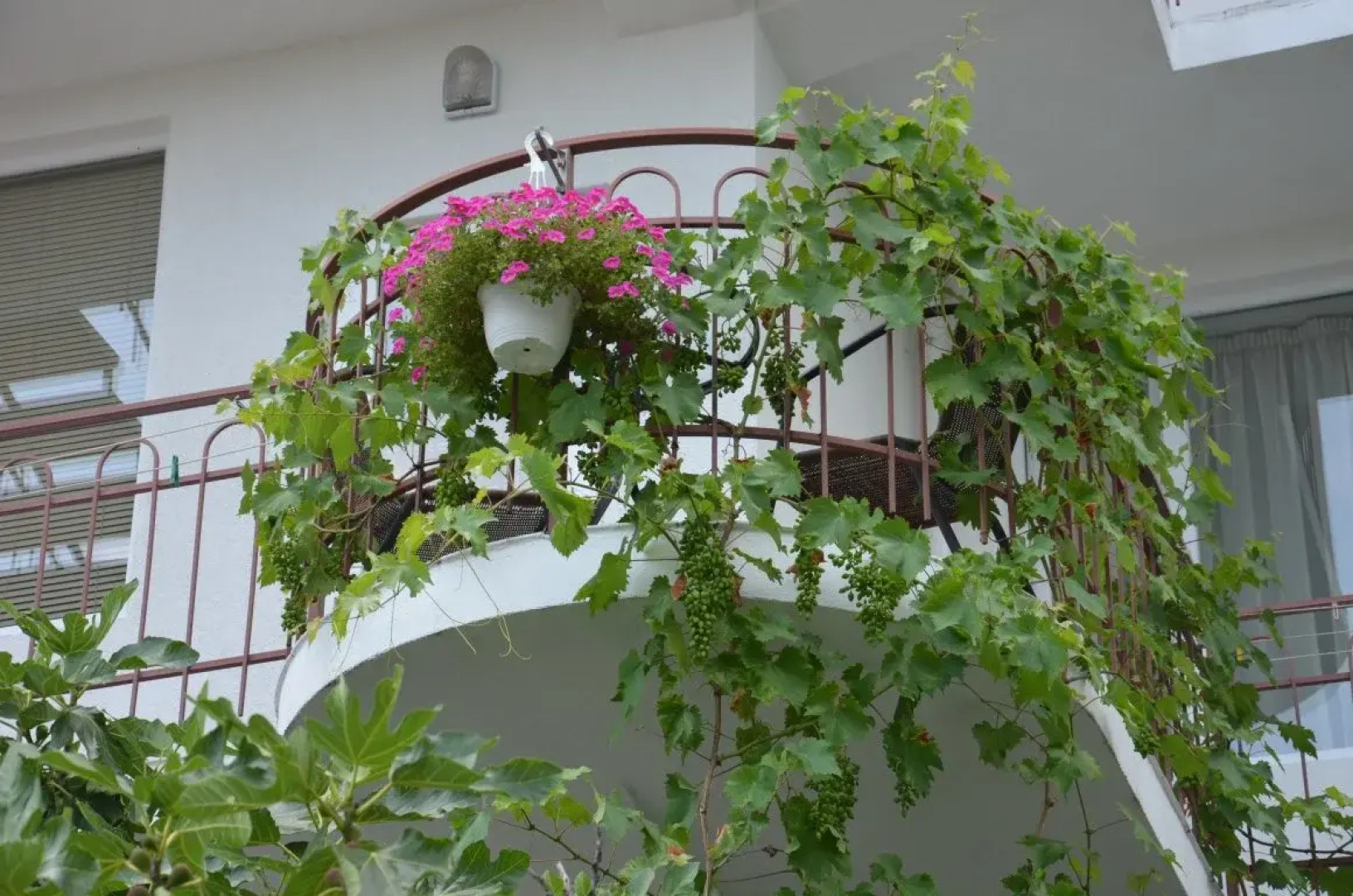 Гостевой Дом Парусник