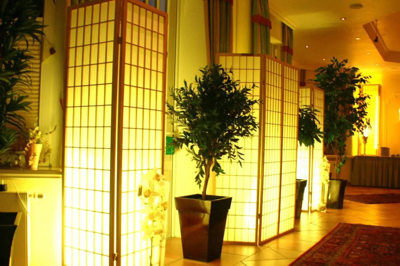 Hotel Hemdinger Hof (Adults Only)