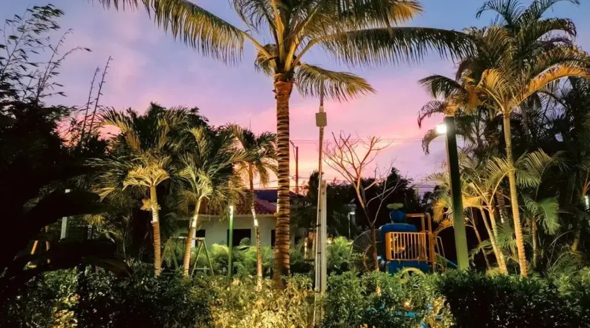 Soficu Eden Dominicus