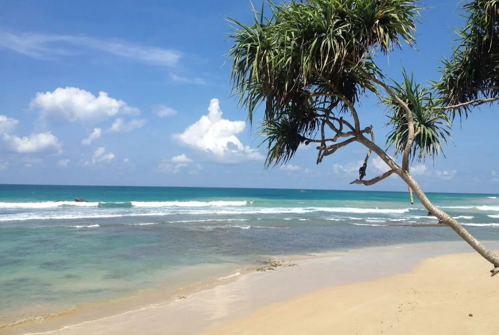 Pearl Villa Welhengoda