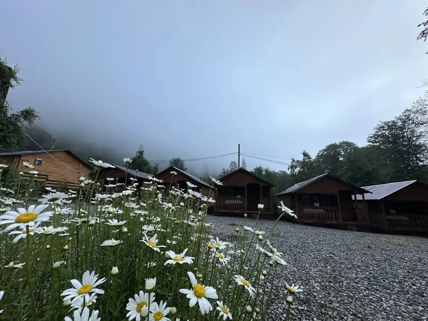 Отель Барбарис