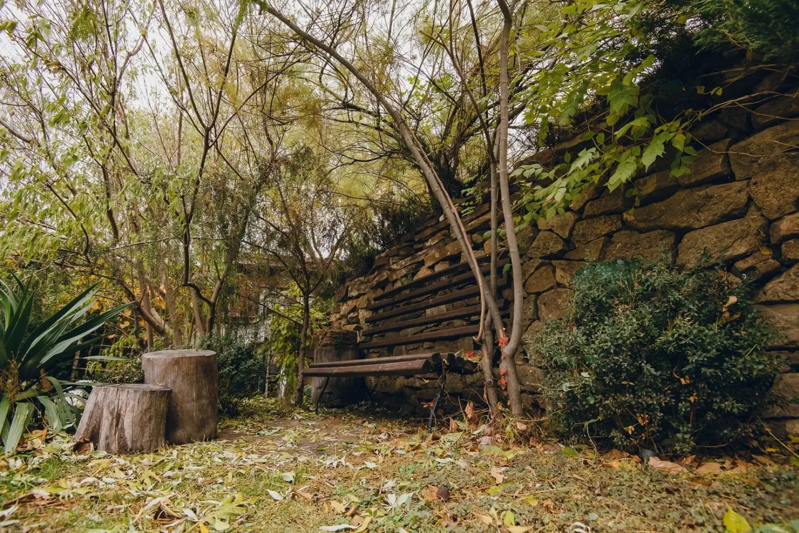 Tepsen Guest House