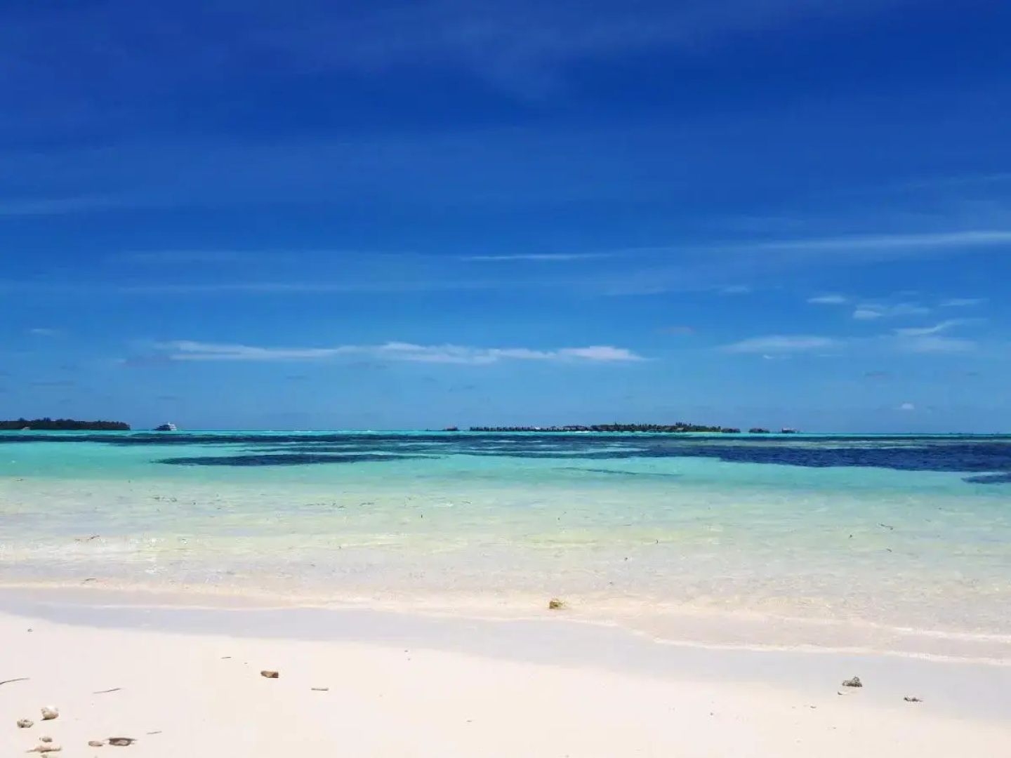 Seginy Seaview Hotel