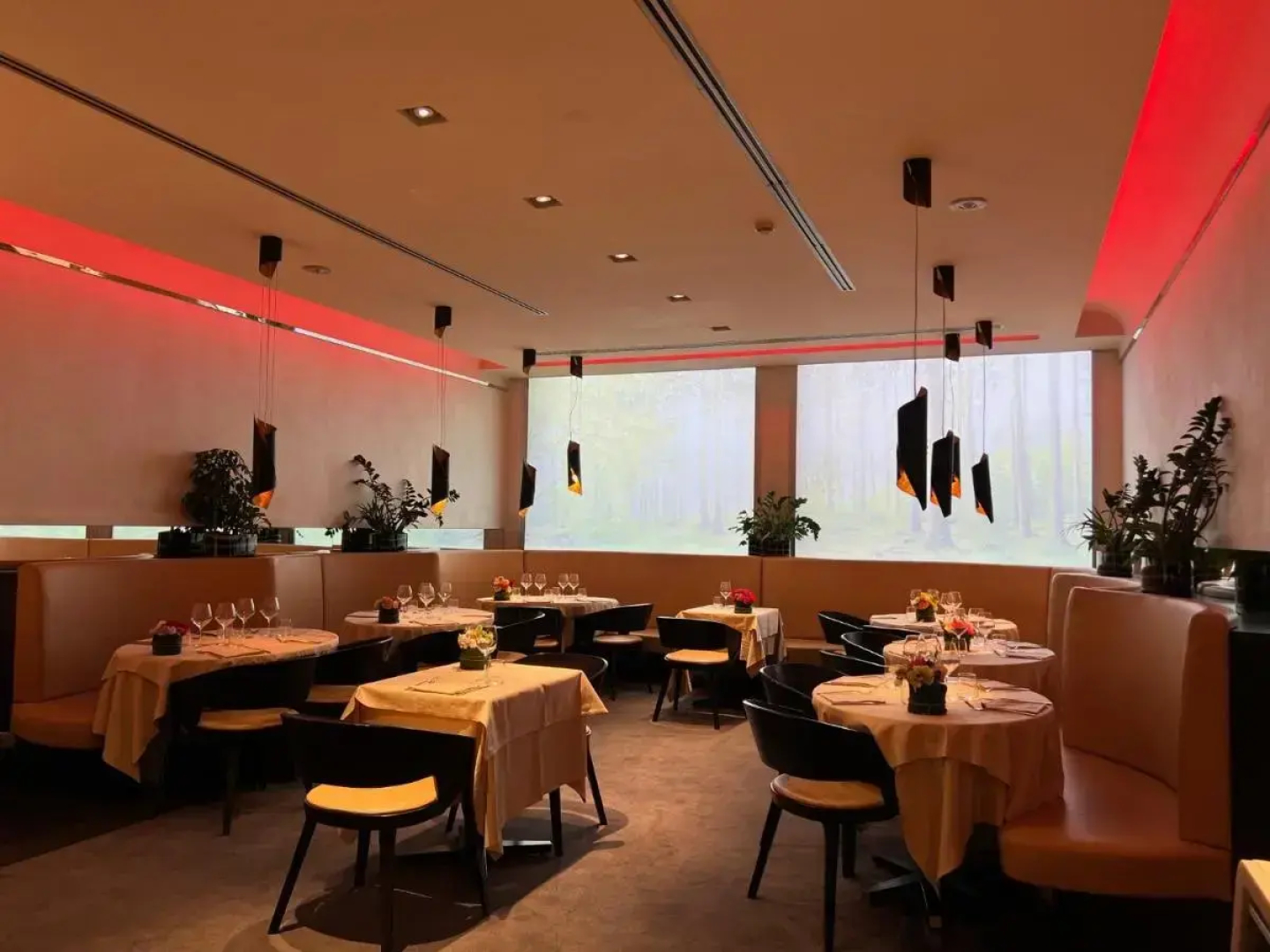 Arli Hotel Business and Wellness