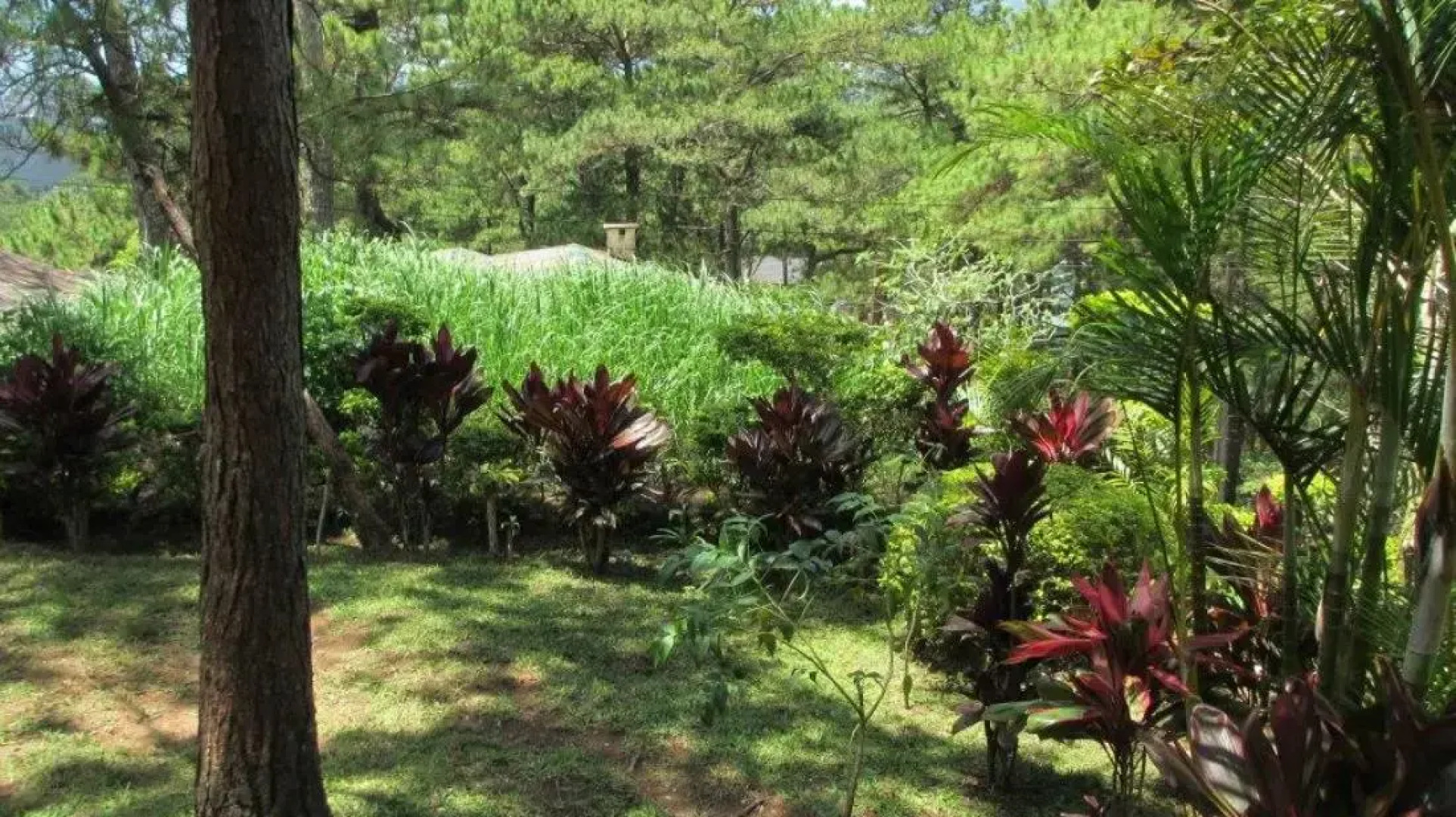 De Castro Vacation House