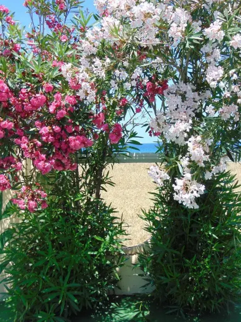 Отель Nirvana Beach 