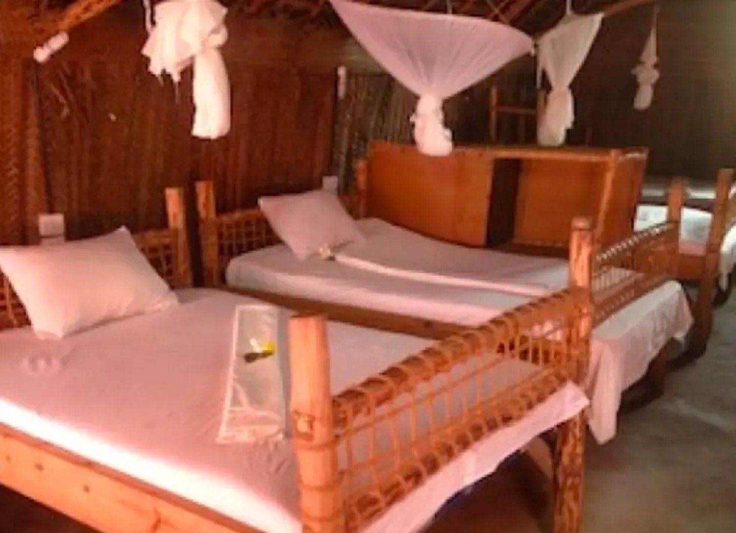 New Jambo Bungalows - Hostel