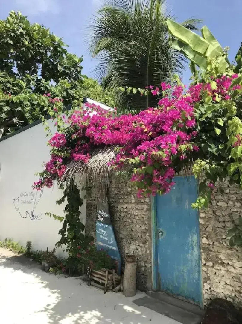 Отель Kite And Dive Village Fenfushi 