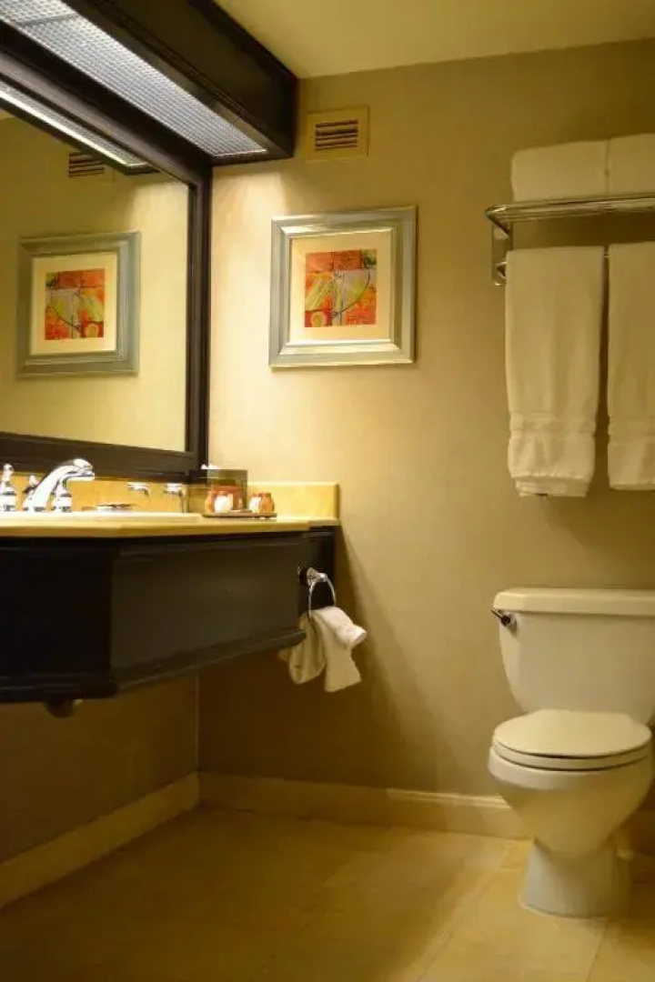 Treasure Island - TI Las Vegas Hotel & Casino