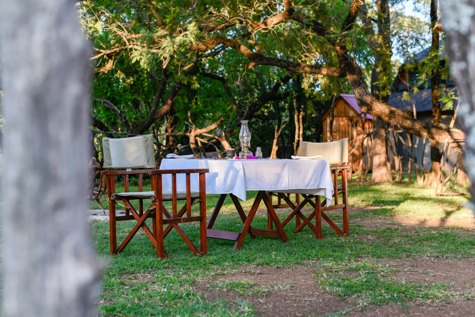 Mziki Safari Lodge