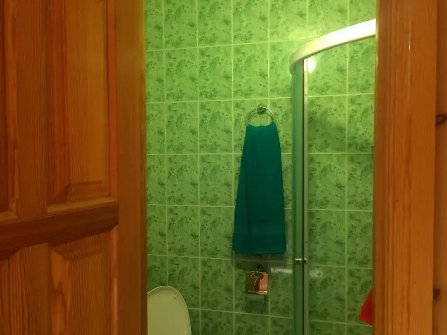 Гостевой дом С.Н.Е.Г.