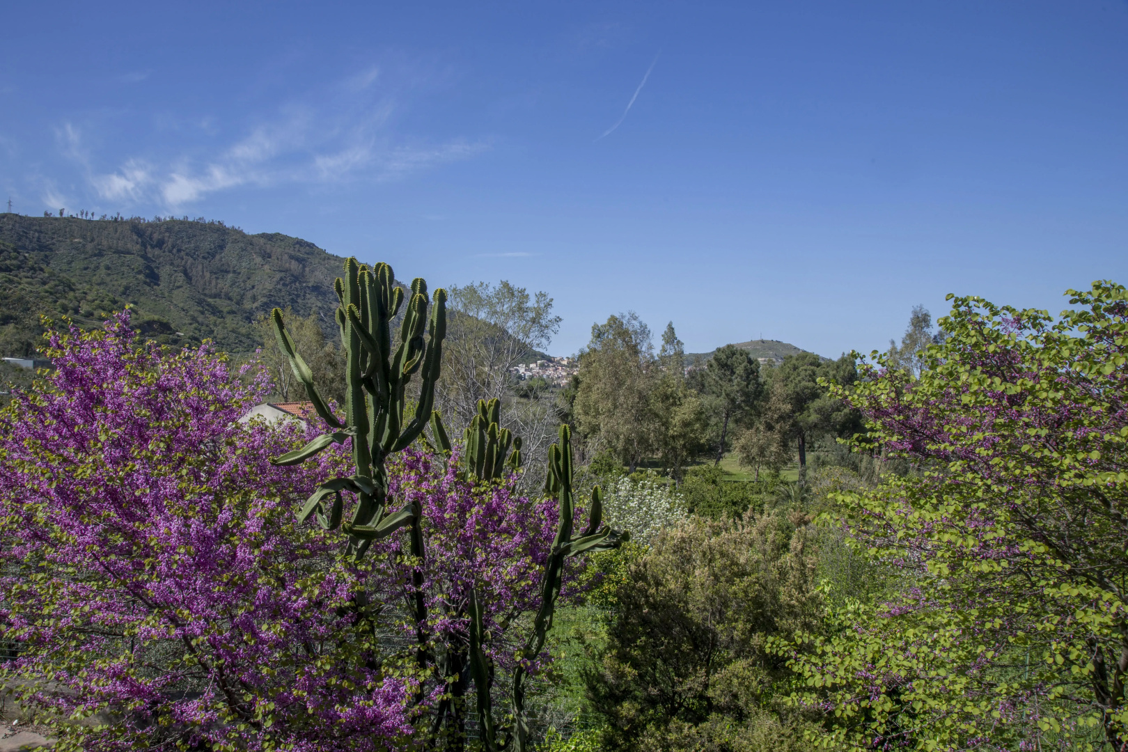 Residence Villa Laura