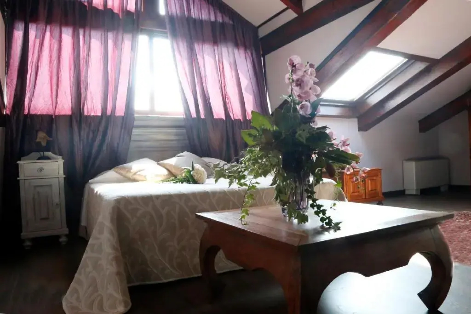 Hotel Damian Park Hotel Delle Magnolie