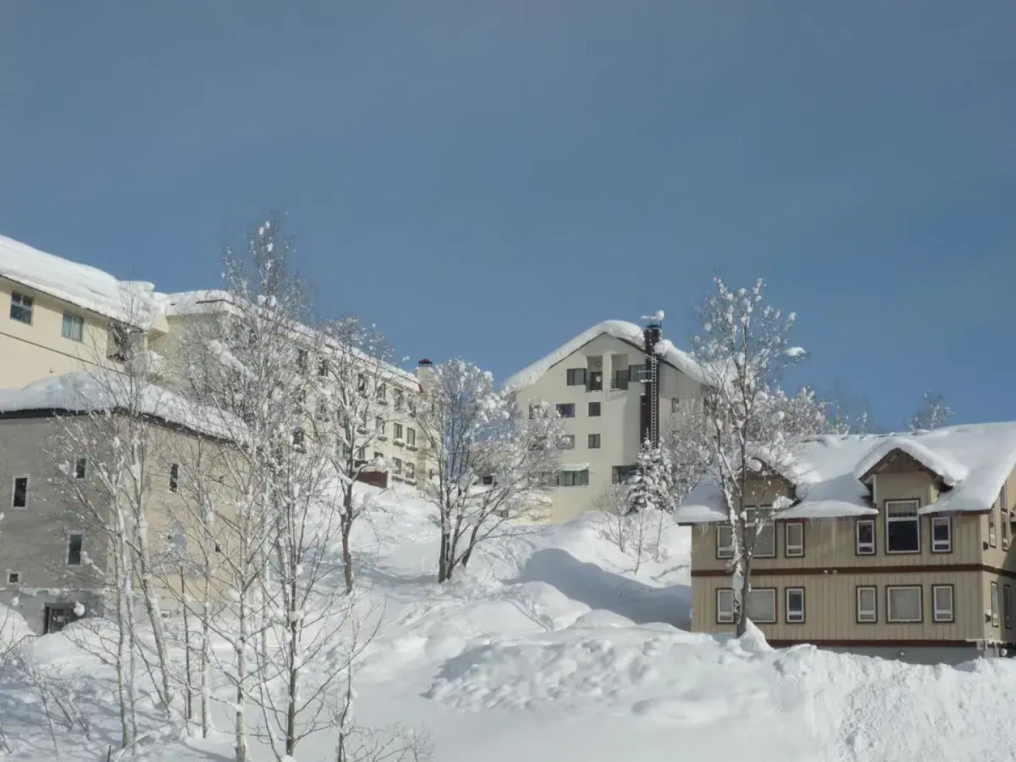 Niseko Park Hotel