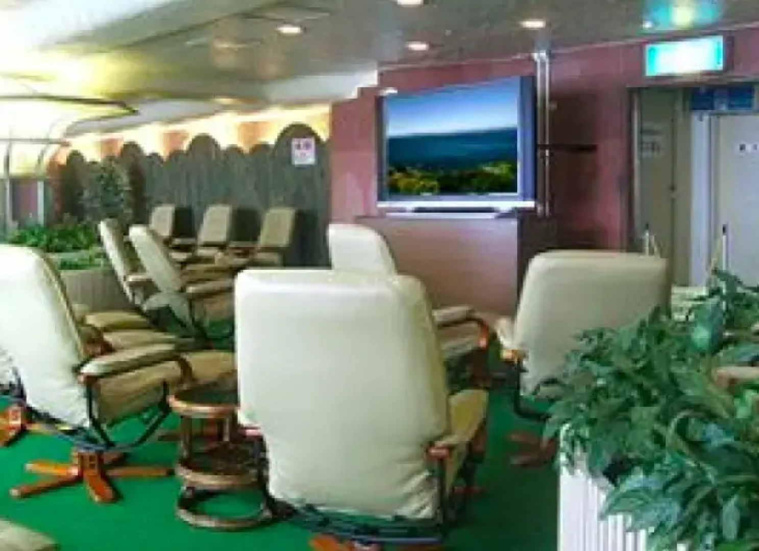 Green Plaza Shinjuku Capsule Hotel