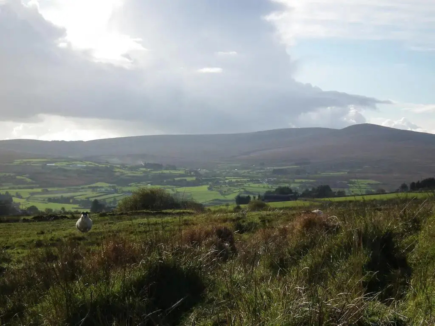 Pollan Rua Cottage & Barn