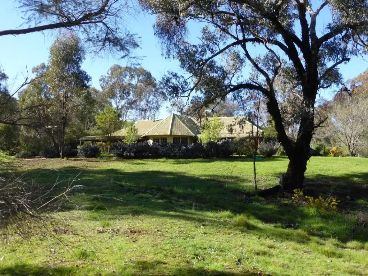 Wildwood Guesthouse