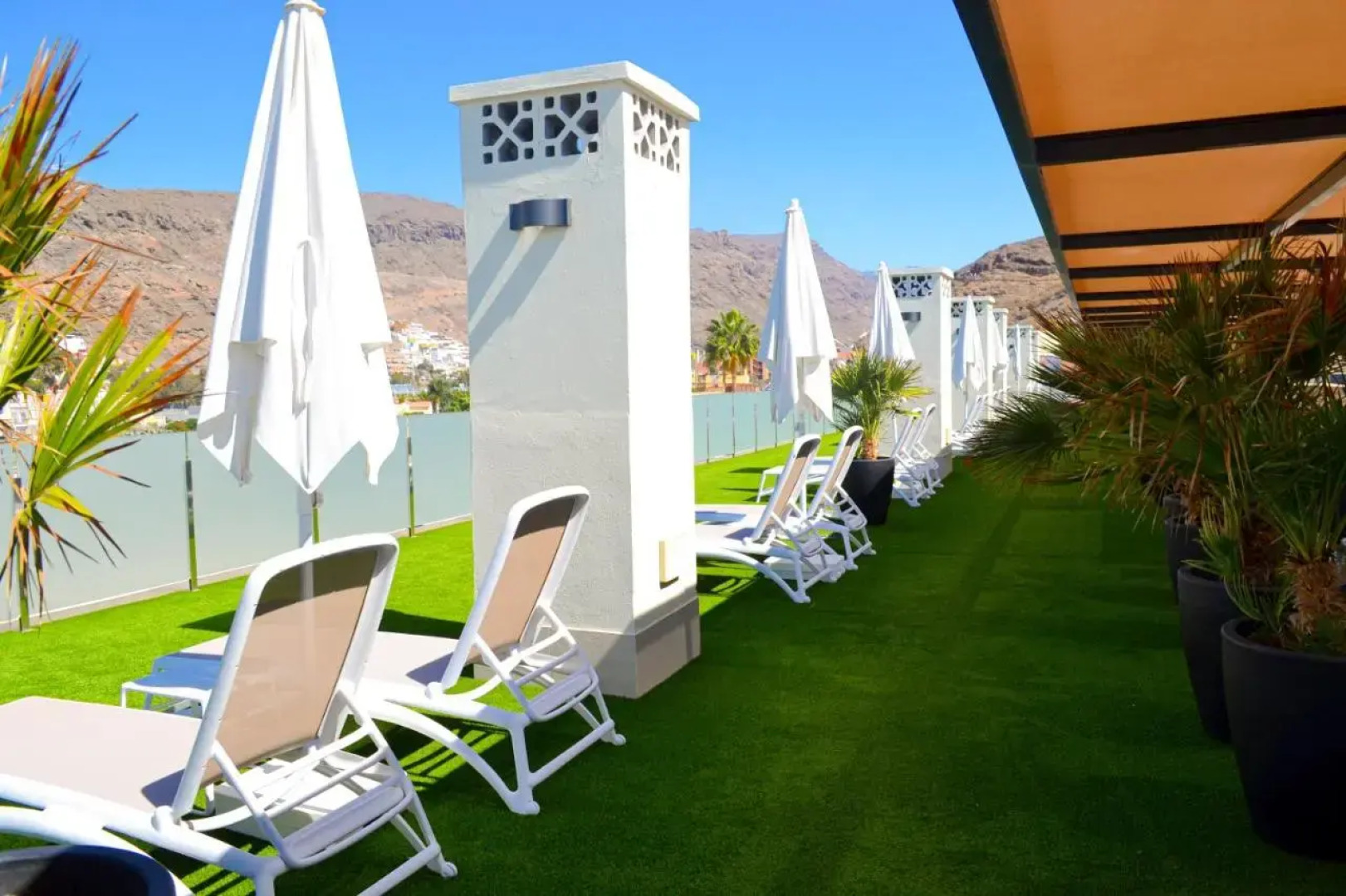 Cordial Muelle Viejo