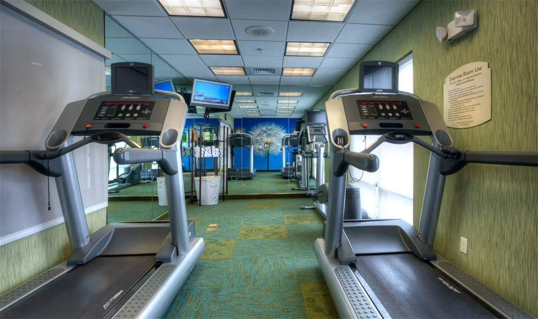 Springhill Suites by Marriott Tampa Brandon