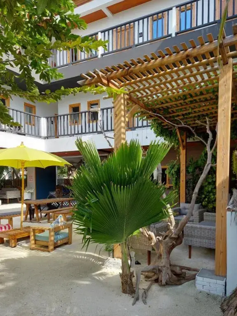 Palms retreat