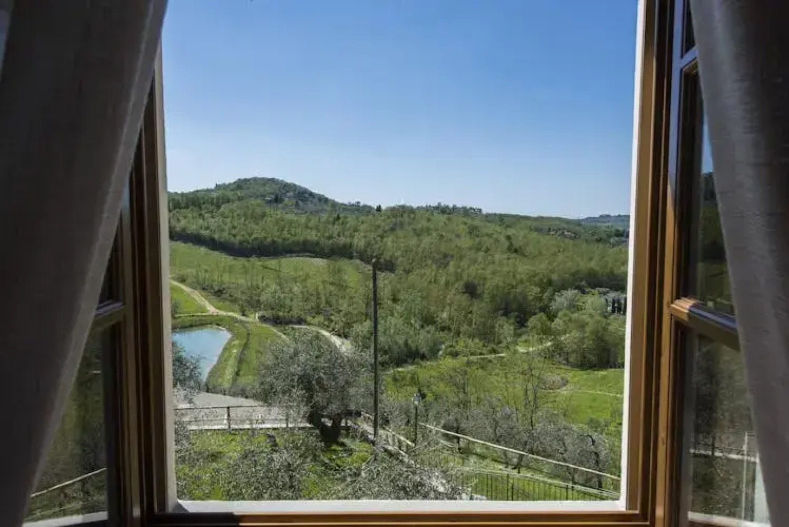 Olmofiorito
