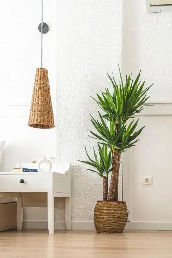 Sandal Alaçatı - Adults Only