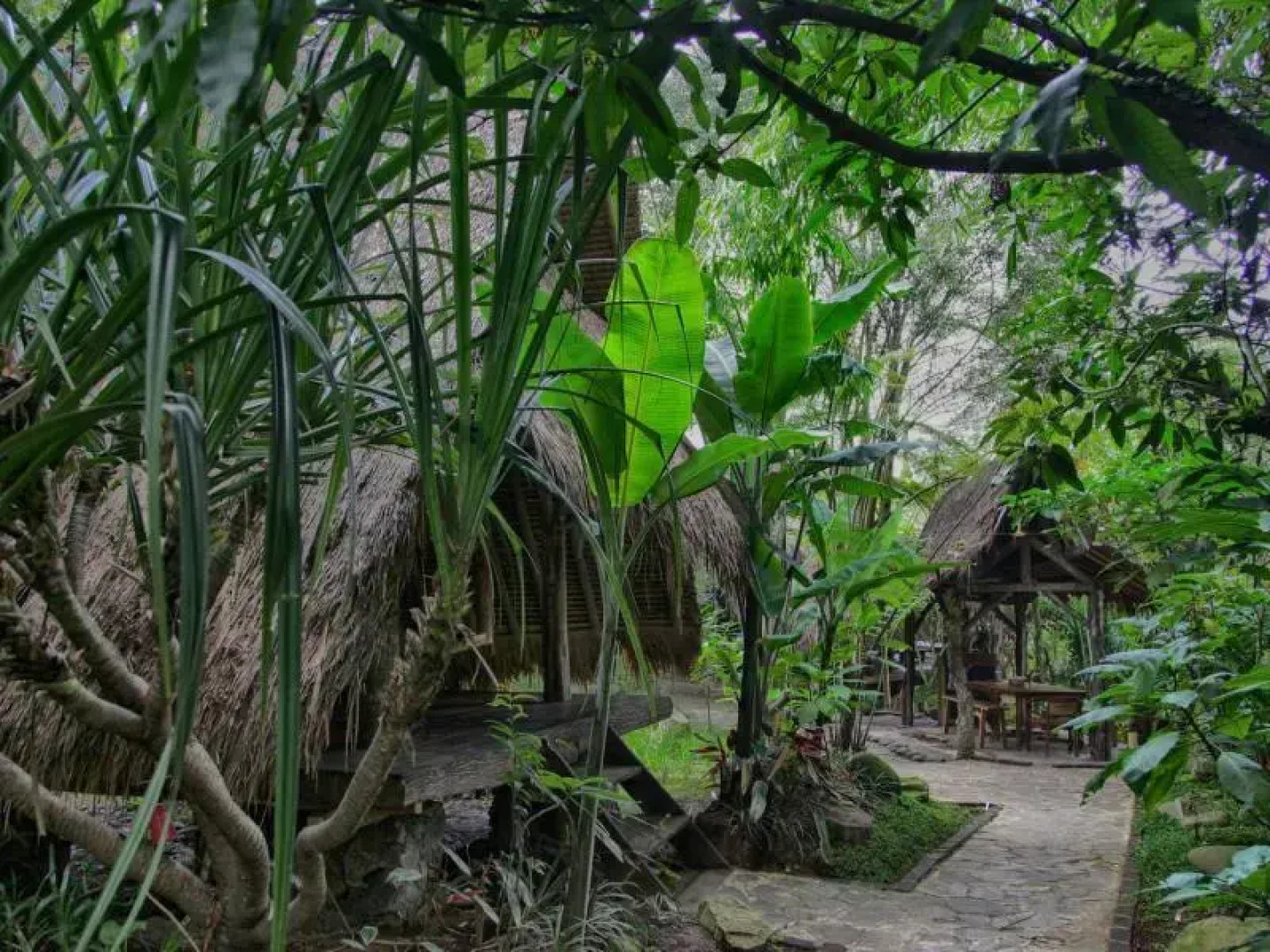 Sapulidi Cafe, Resort & Gallery