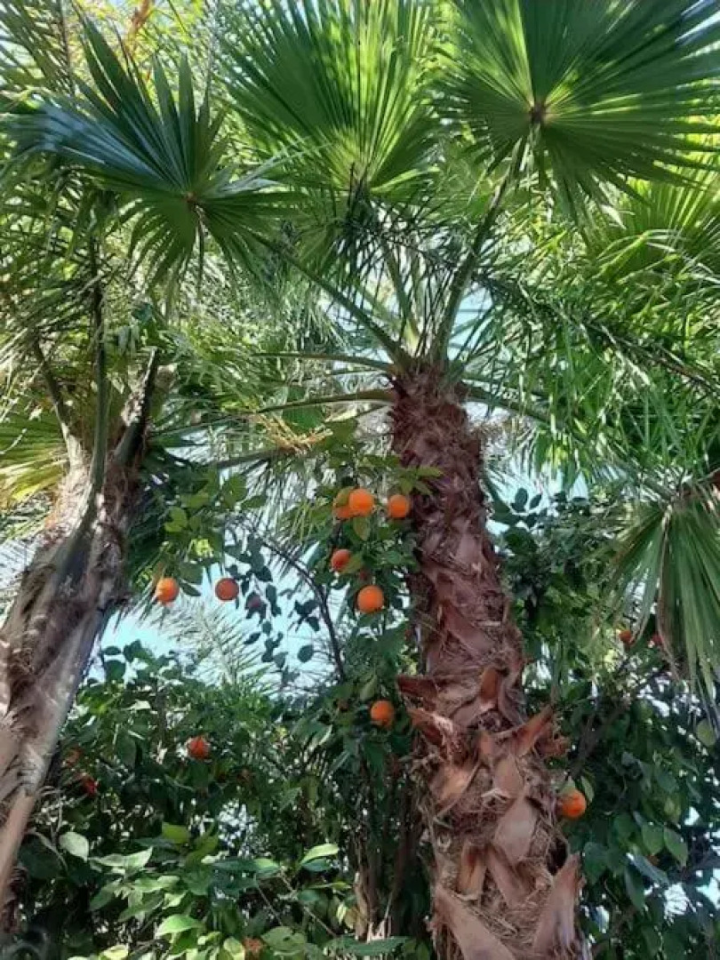 Weedan Ferme d´hôtes