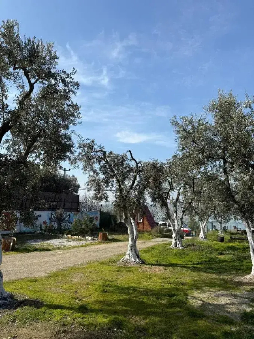 De La Terrasse Iznik