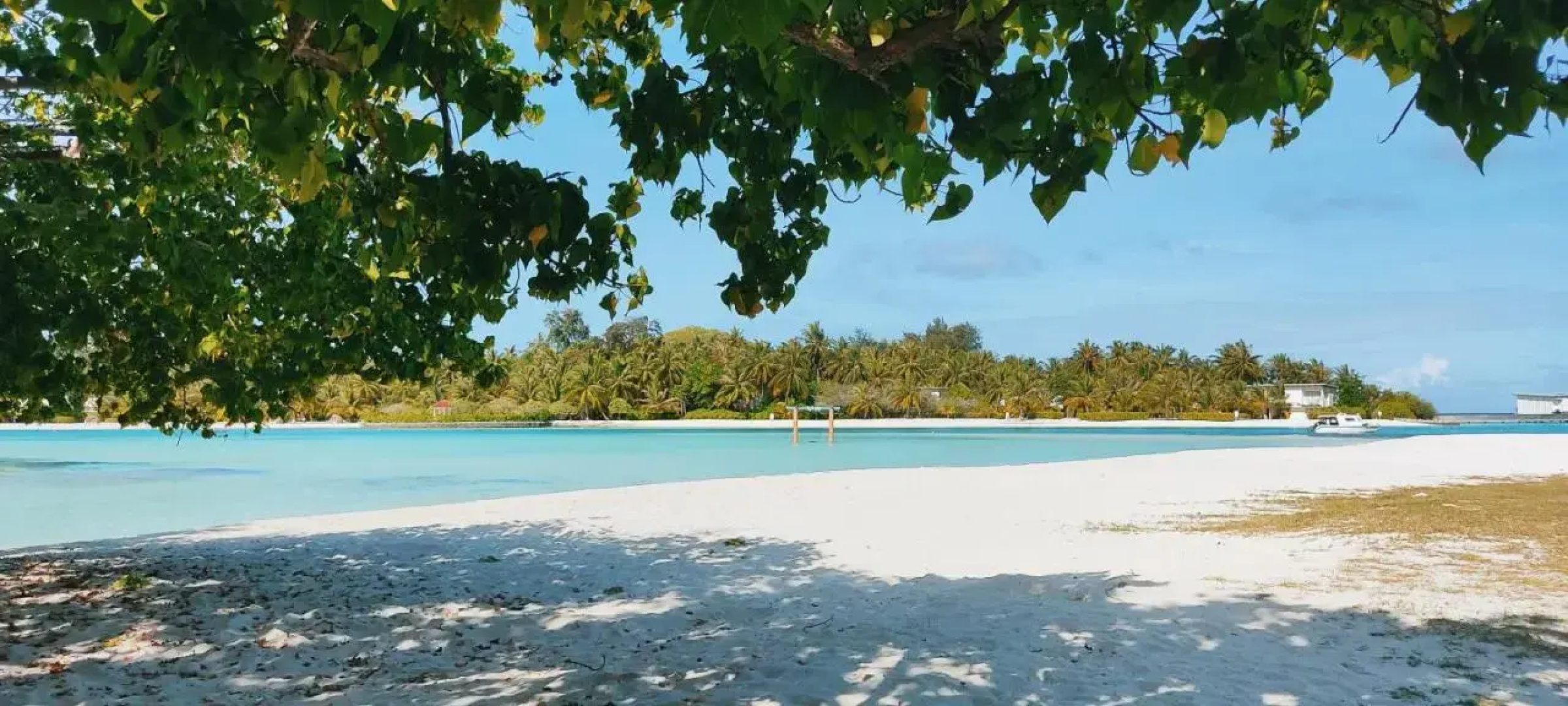 Отель La Isla Tropica