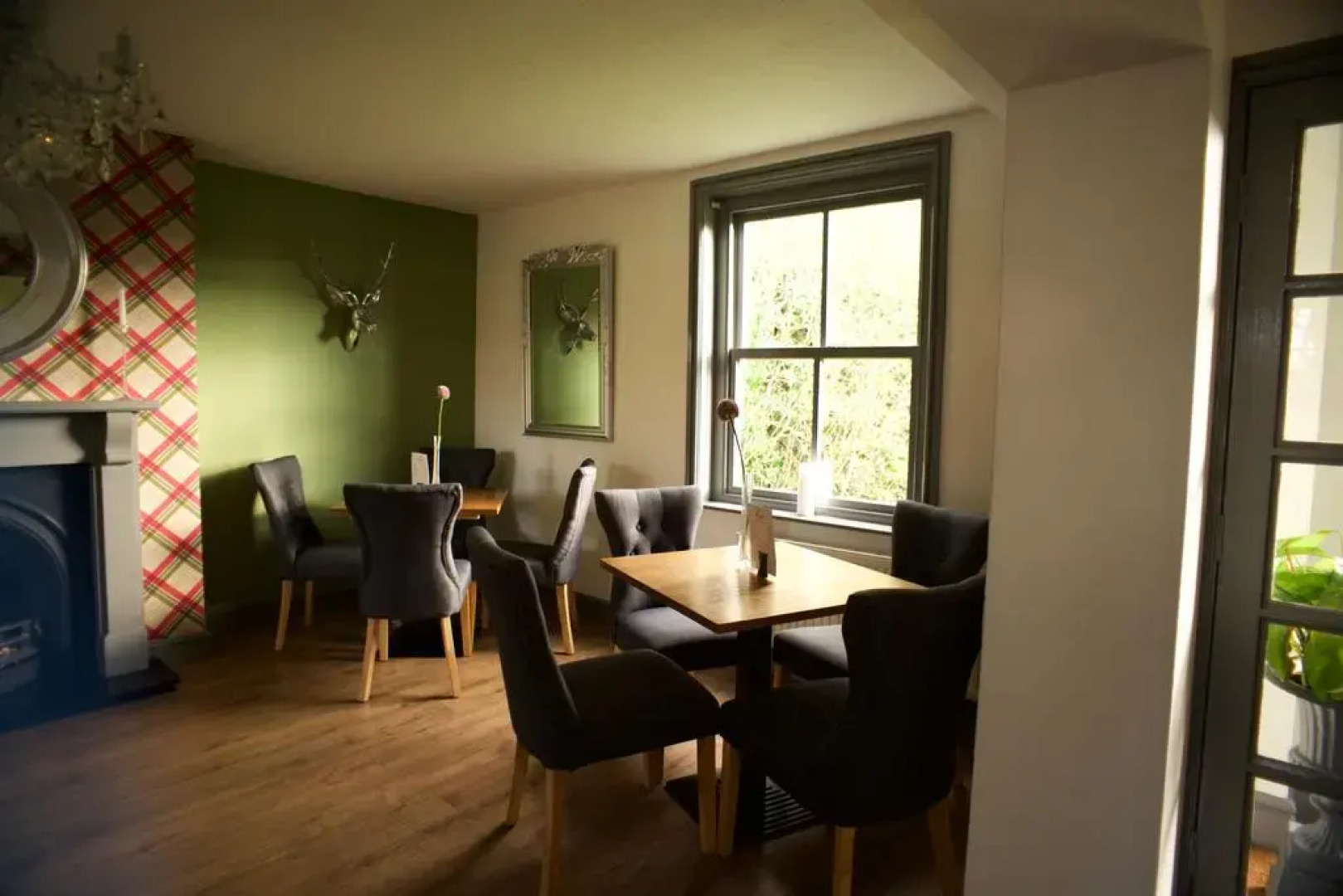 Allium by Mark Ellis